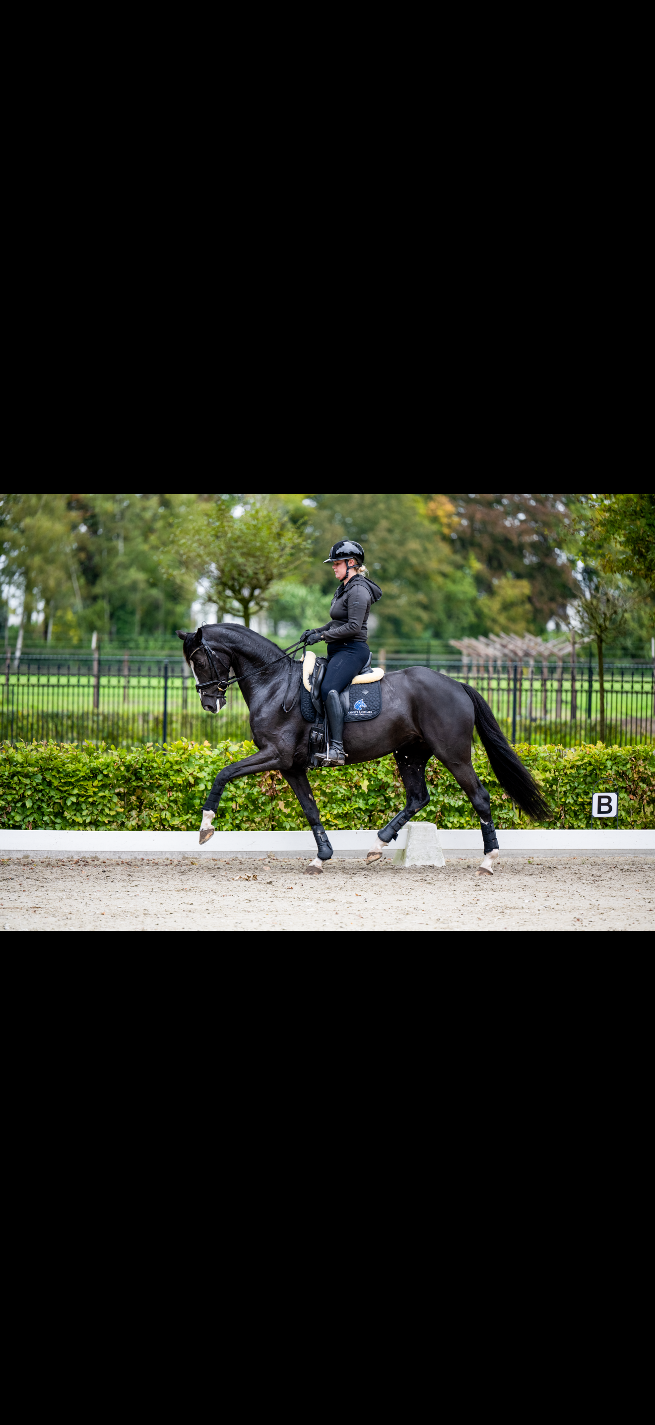 Talentvolle merrie