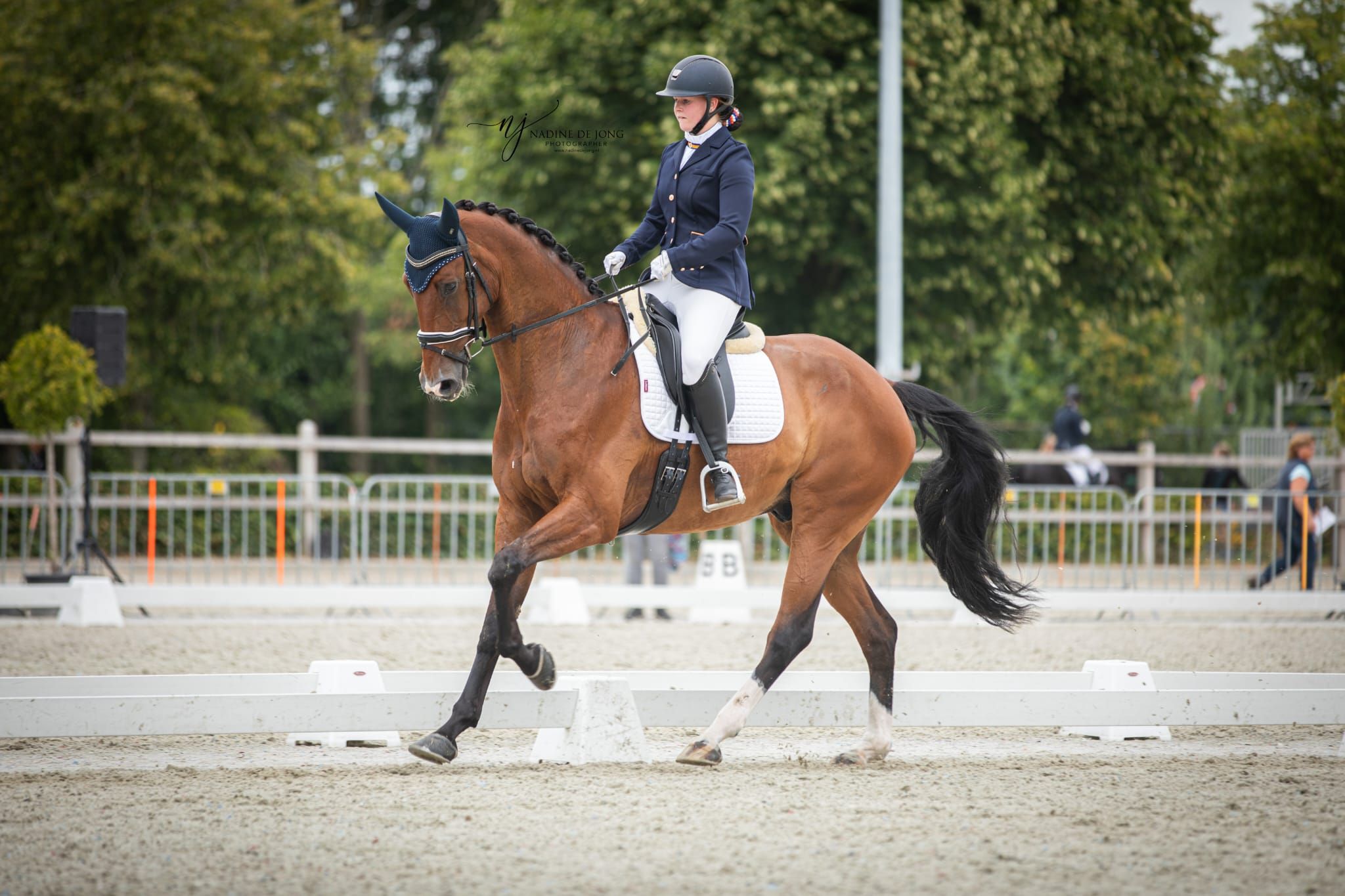 kwpn dressuurpaard ruin 11 ani bruin de vânzare - Foto 3
