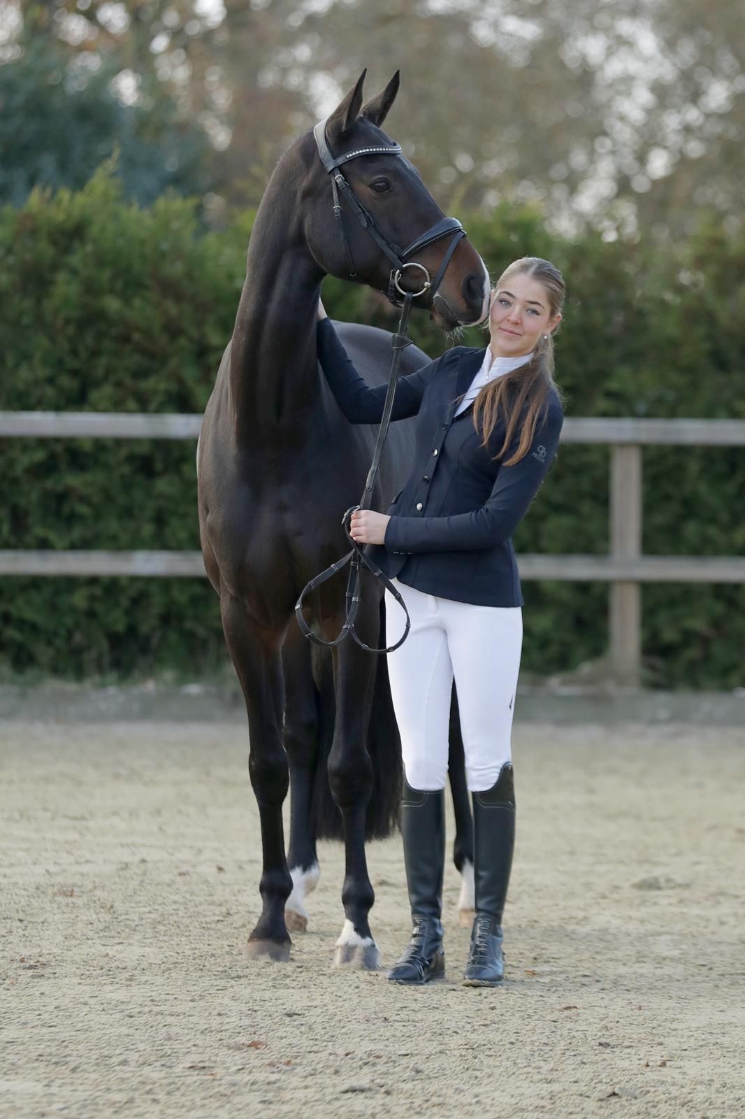 kwpn dressuurpaard ruin 11 years old donkerbruin for sale - Photo 2