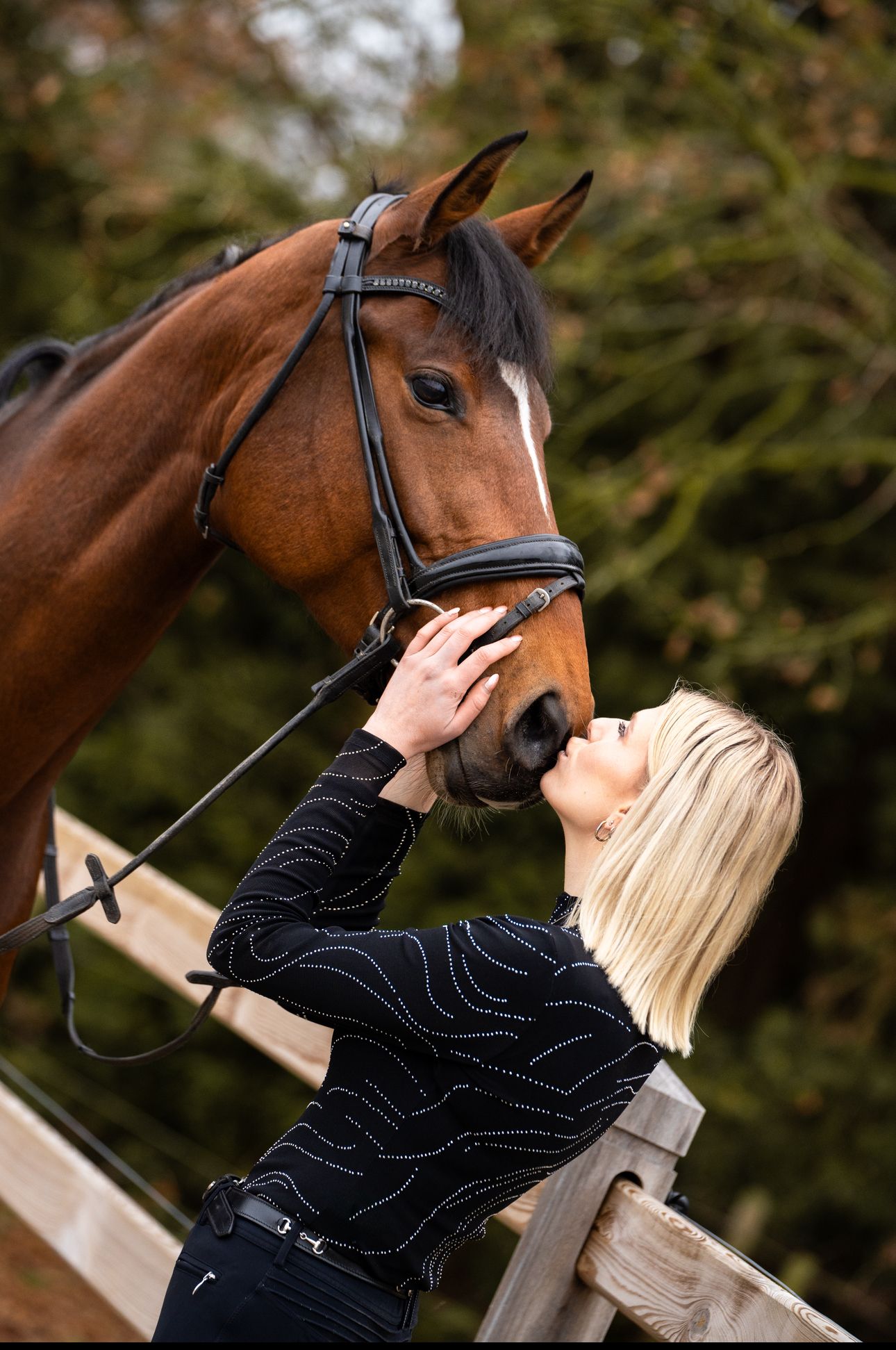 paard merrie 9 years old bruin for sale - Main photo