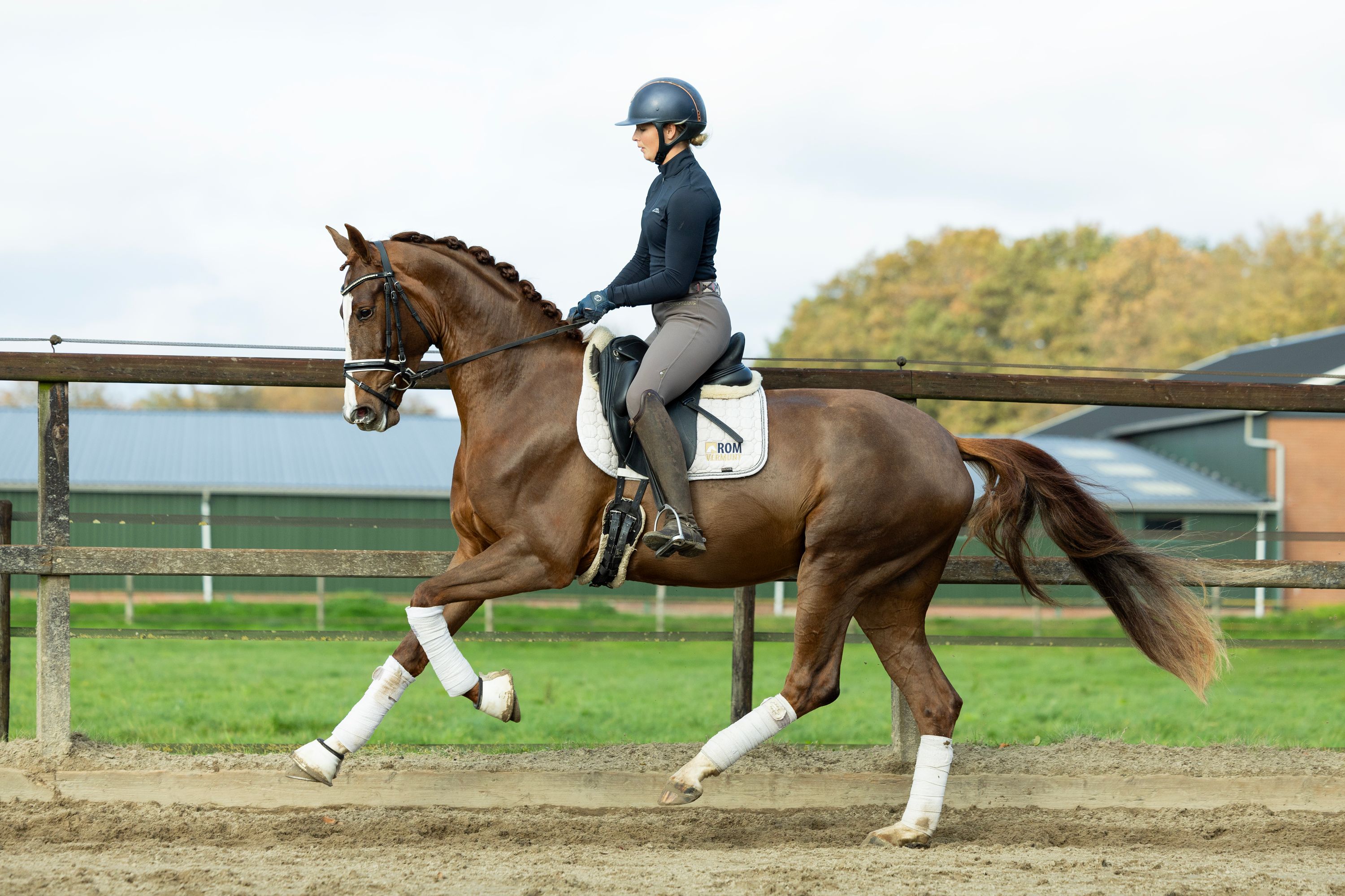 kwpn dressuurpaard merrie 4 years old vos for sale - Main photo