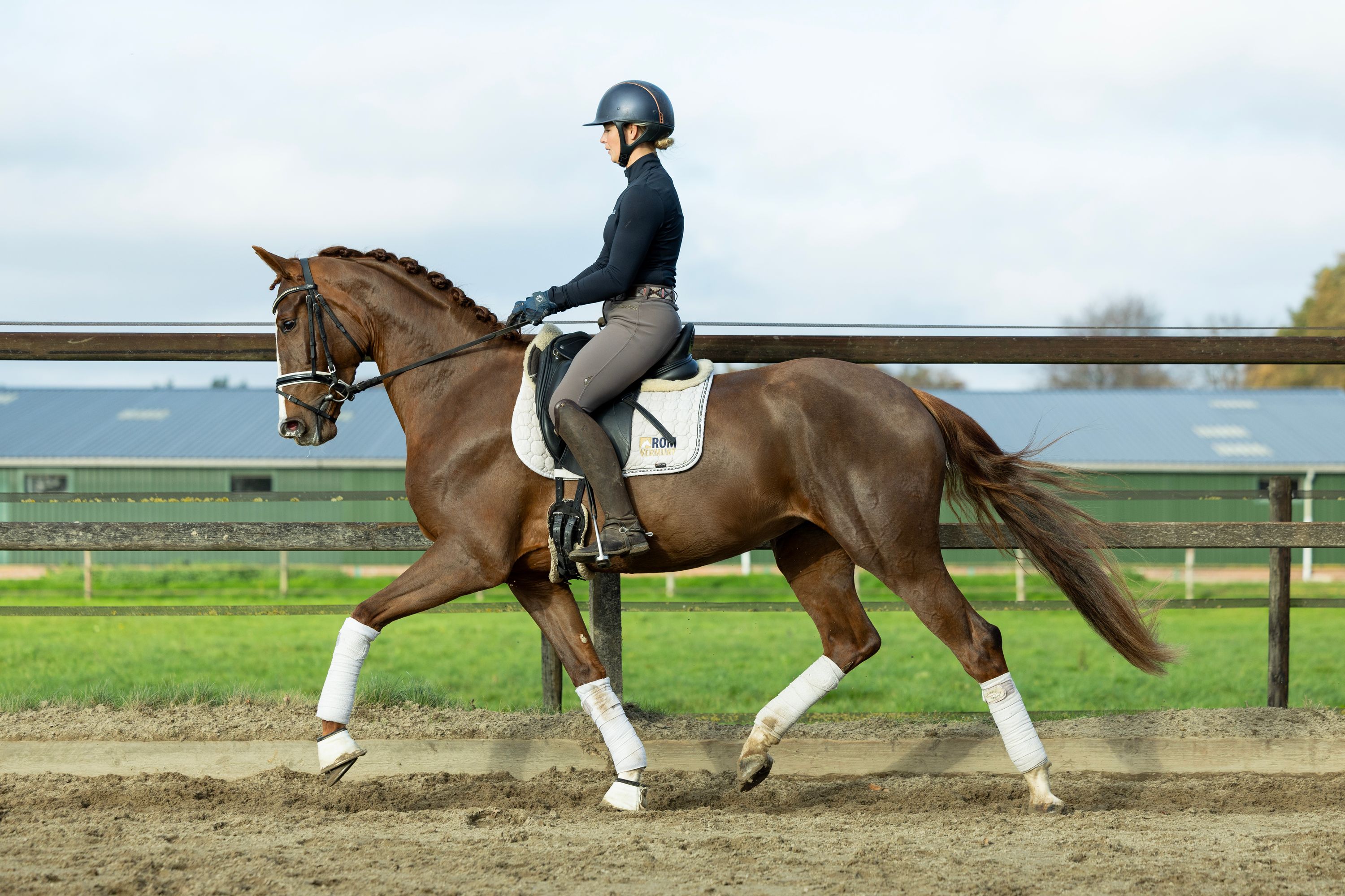 kwpn dressuurpaard merrie 4 years old vos for sale - Photo 2