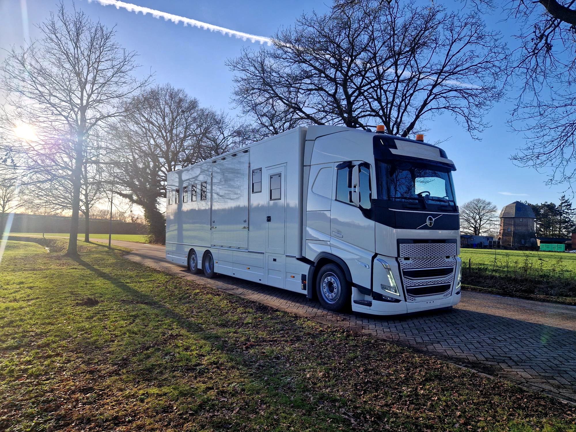 New Volvo FH 9 horses Anemone (id:21)
