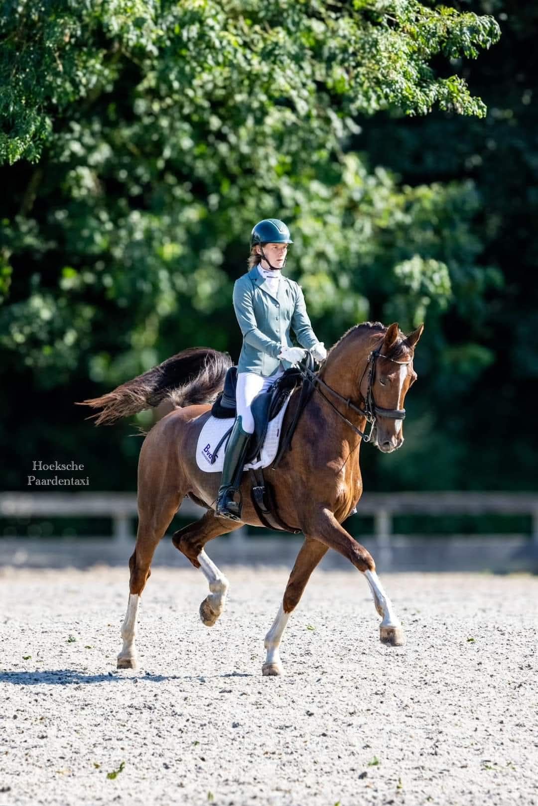 Per direct plaats voor trainings paarden