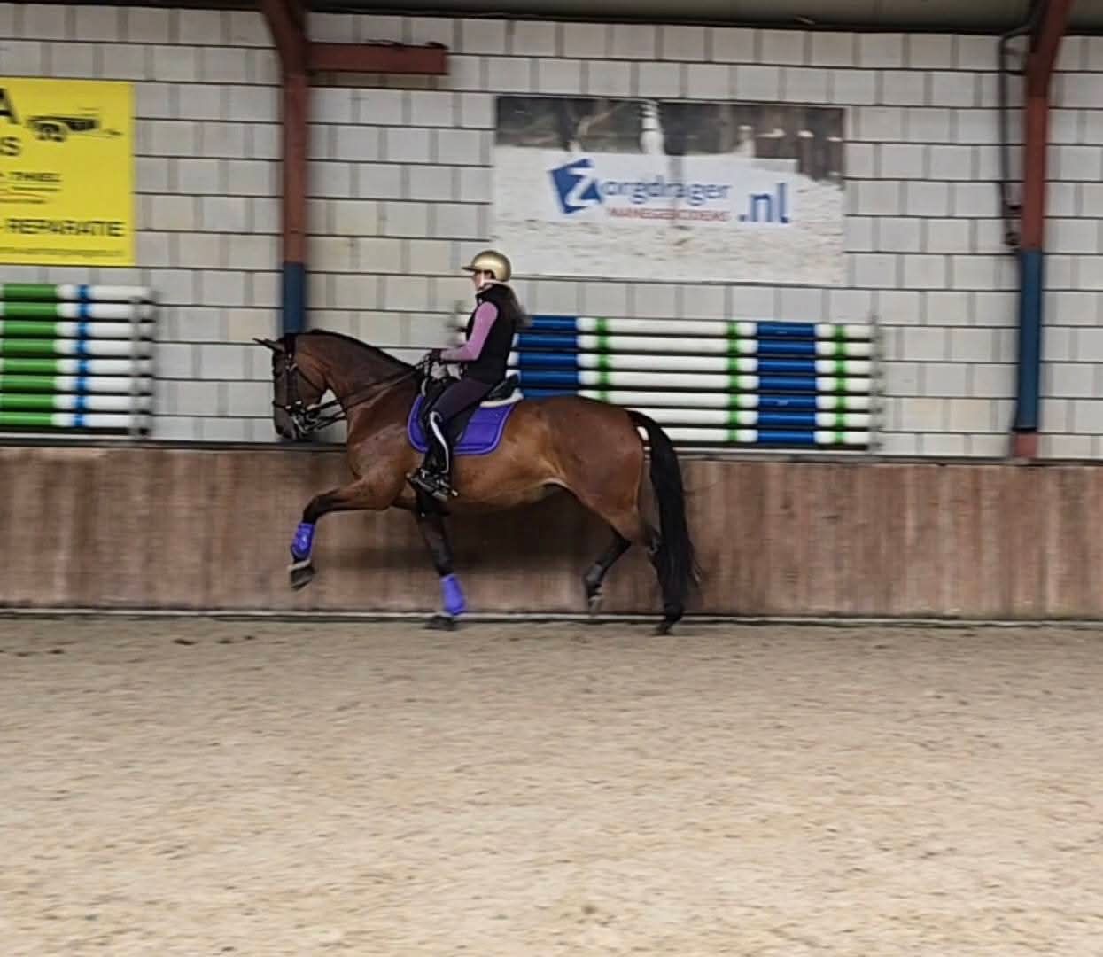 Immediate availability for training horses - Photo 6