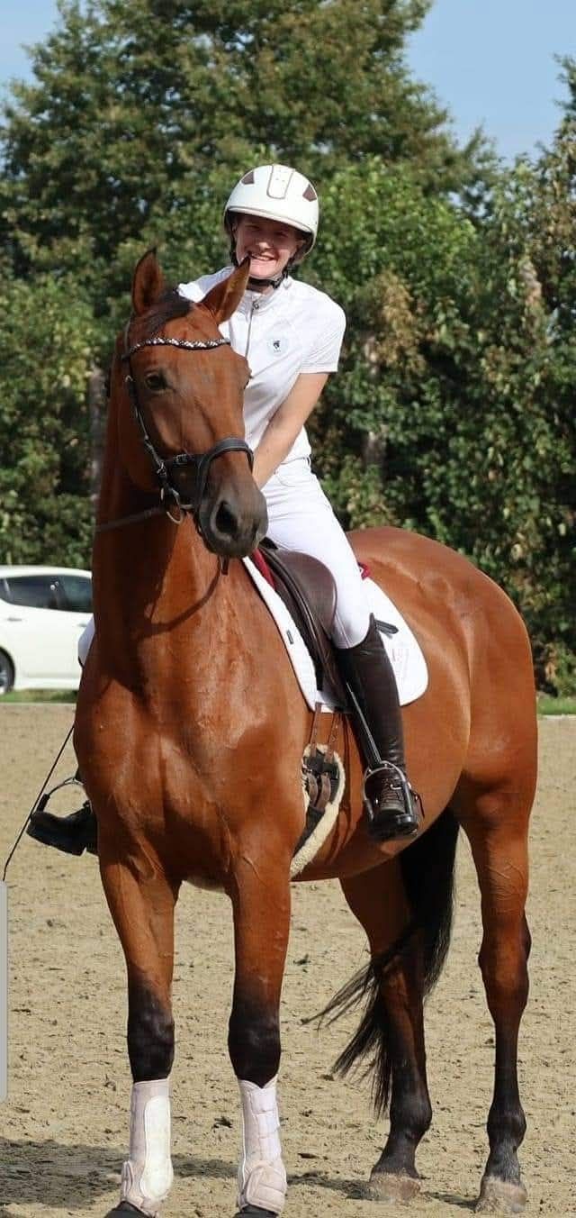 Immediate availability for training horses - Photo 4