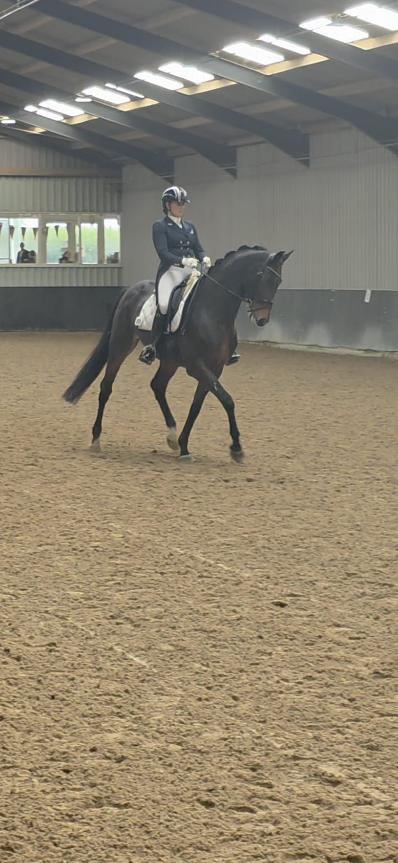 KWPN dressuurpaard Ruin 12 jaar Bruin te koop - Foto 5