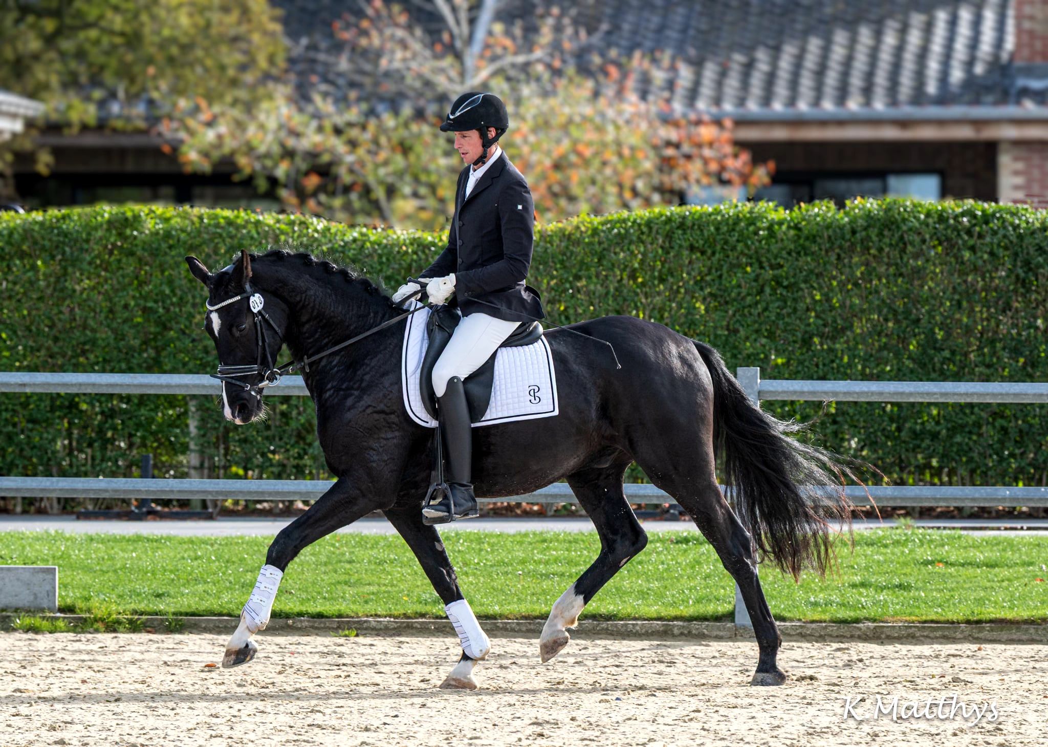 bwp dressuurpaard ruin 4 Jahre alt zwart zu verkaufen - Foto 4