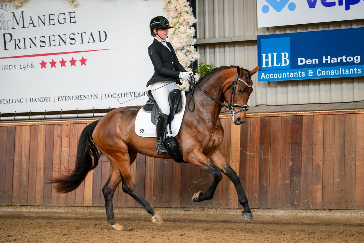 KWPN dressuurpaard Merrie 4 ans Bruin à vendre - Photo 2