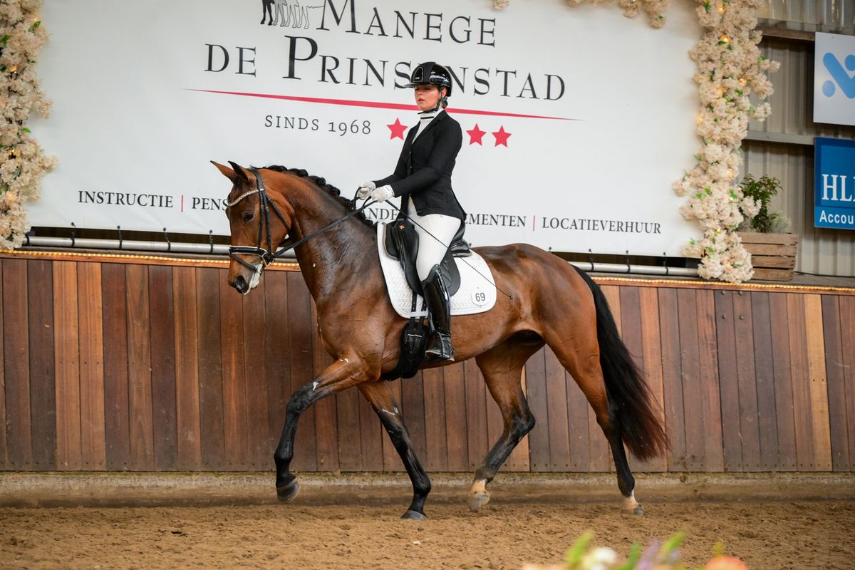KWPN dressuurpaard Merrie 4 ans Bruin à vendre - Photo 5