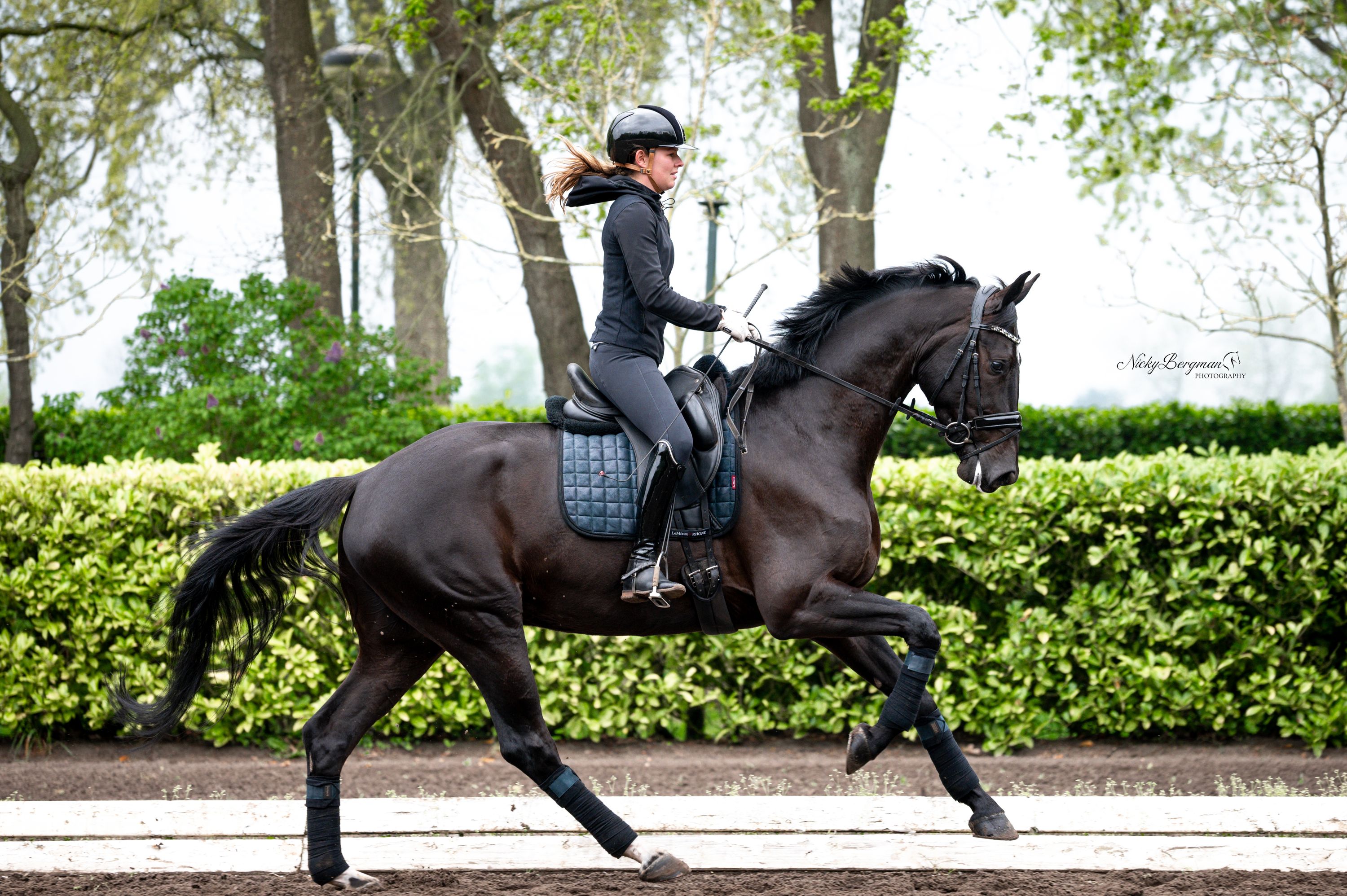 Talentvolle 6 jarige ruin (training - Z2)