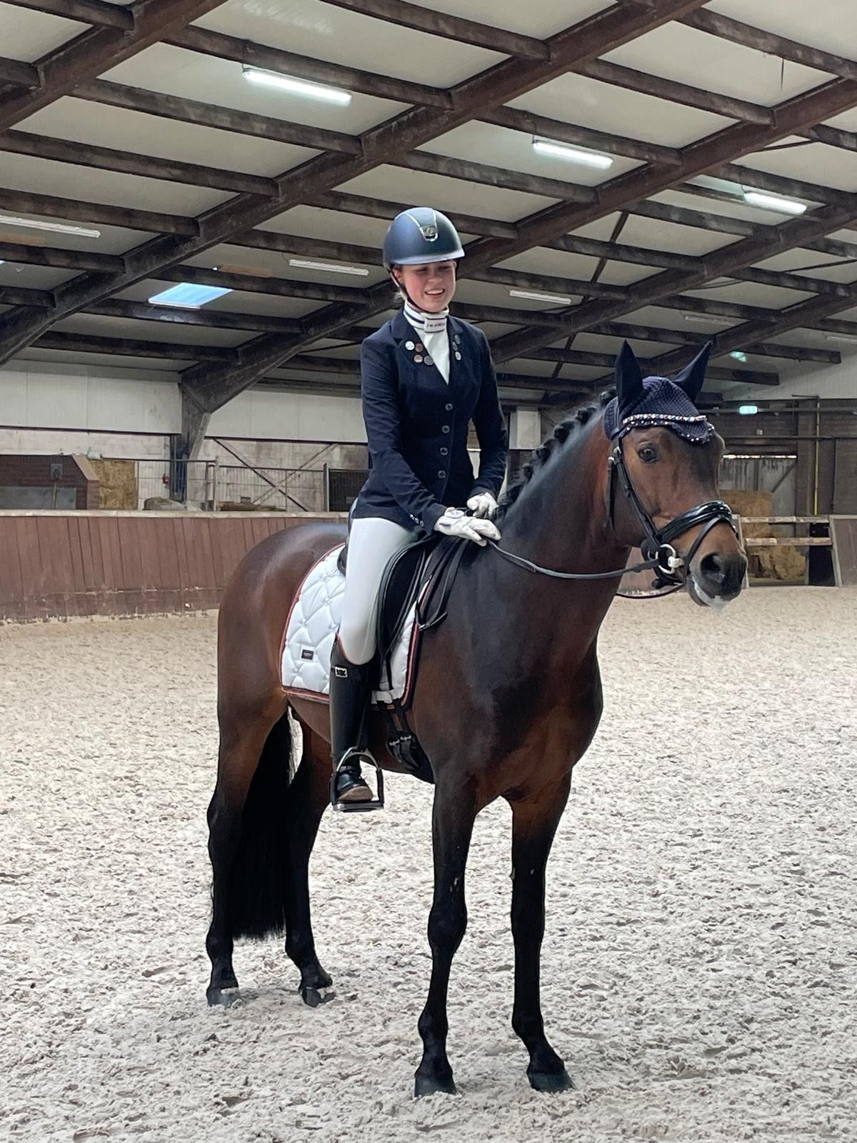 new-forest dressuurpony hengst 9 years old bruin for sale - Photo 4