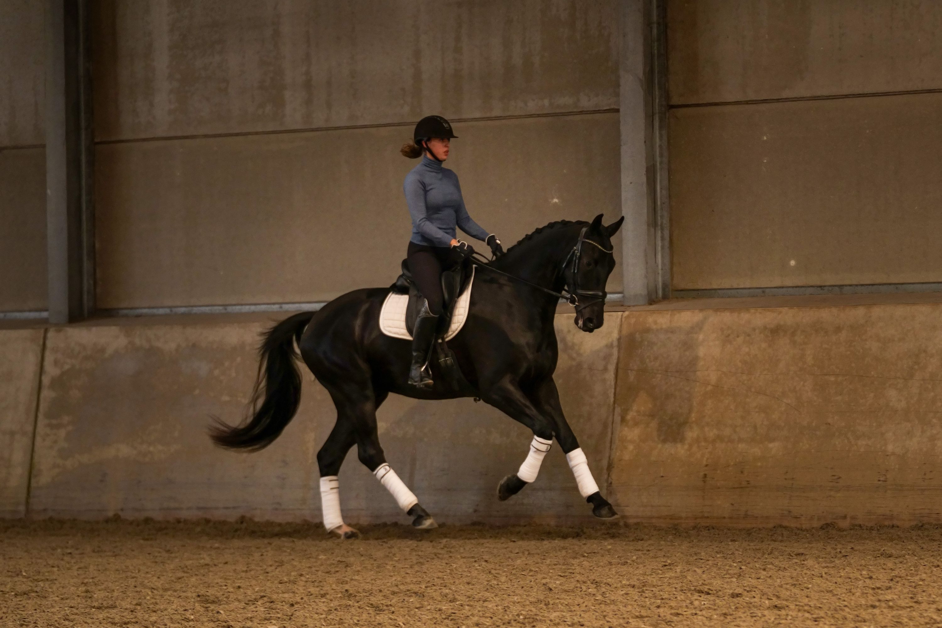 kwpn dressuurpaard ruin 4 ani zwart de vânzare - Foto 3