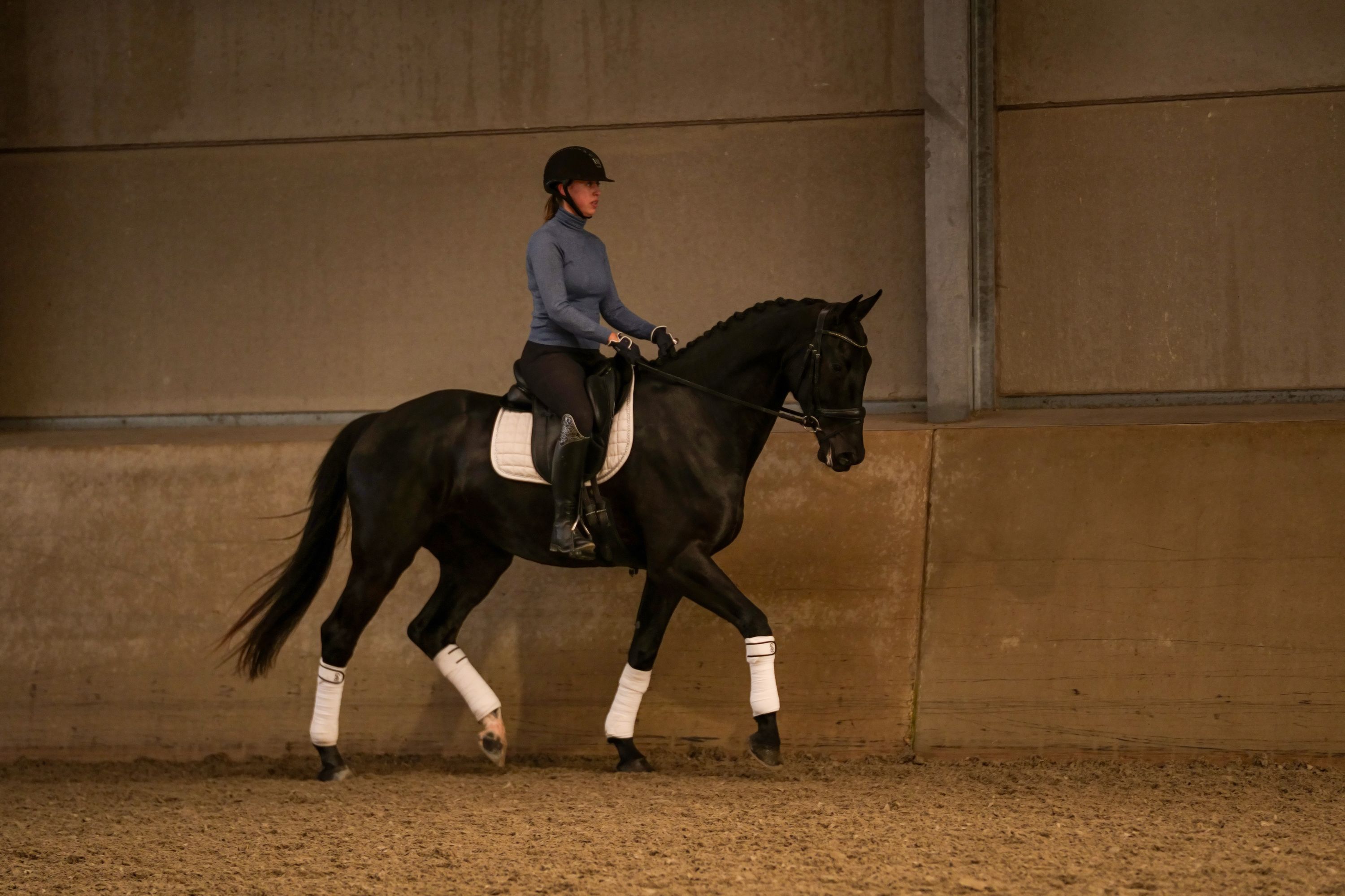 kwpn dressuurpaard ruin 4 ani zwart de vânzare - Foto 4