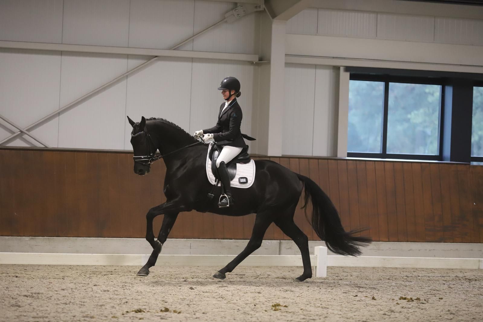 Super fein zu reitendes Dressurtalent!