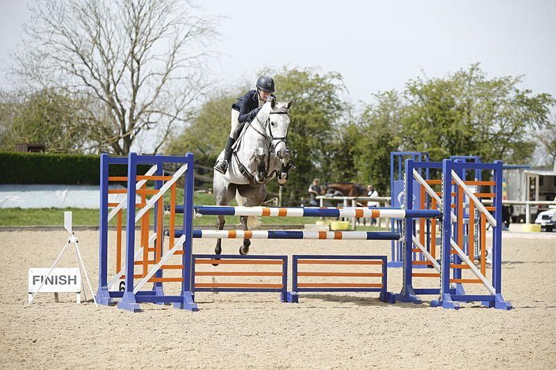 10yo mare 135 showjumping - 1* eventing