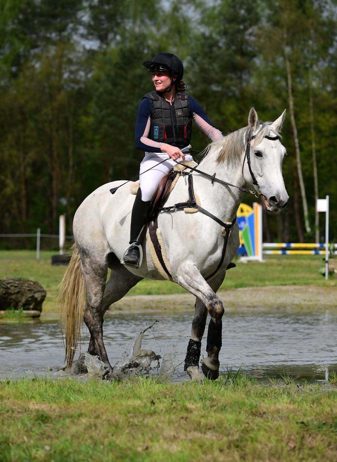 irish springpaard merrie 10 years old schimmel for sale - Photo 4