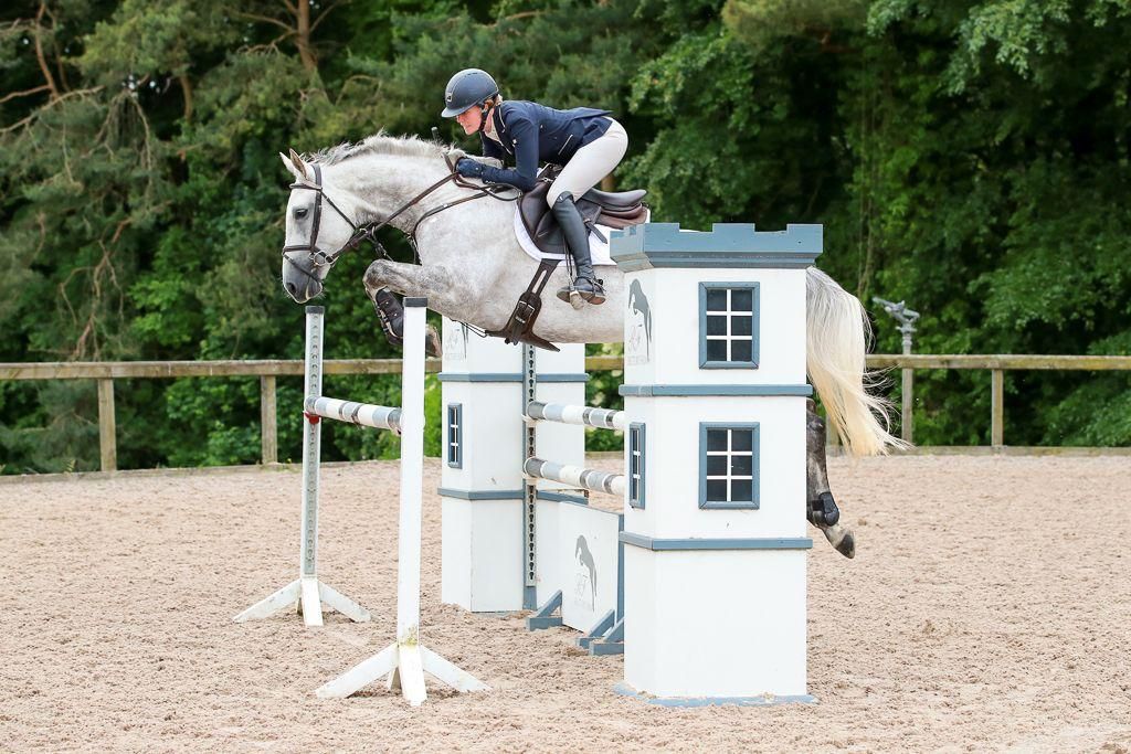 irish springpaard merrie 10 years old schimmel for sale - Photo 6