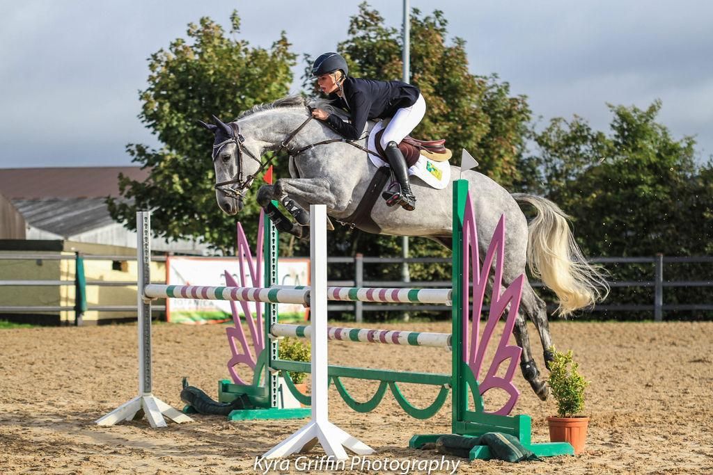 irish springpaard merrie 10 years old schimmel for sale - Photo 3