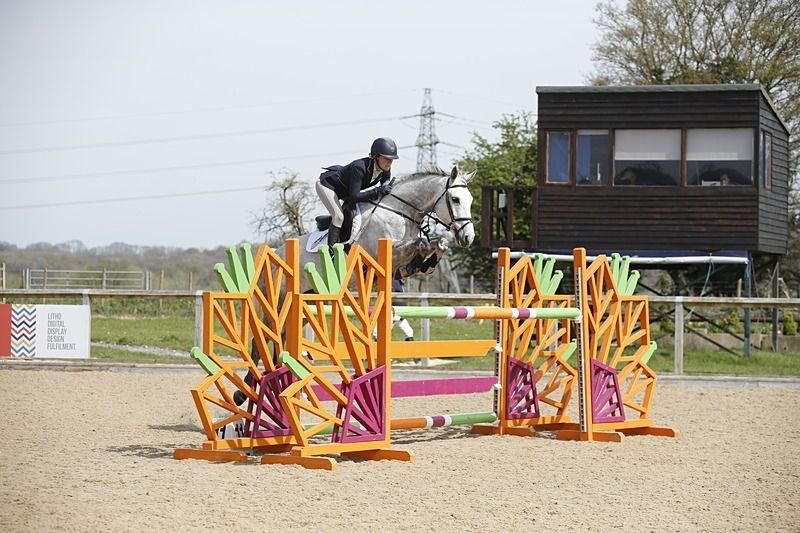 irish springpaard merrie 10 years old schimmel for sale - Photo 2