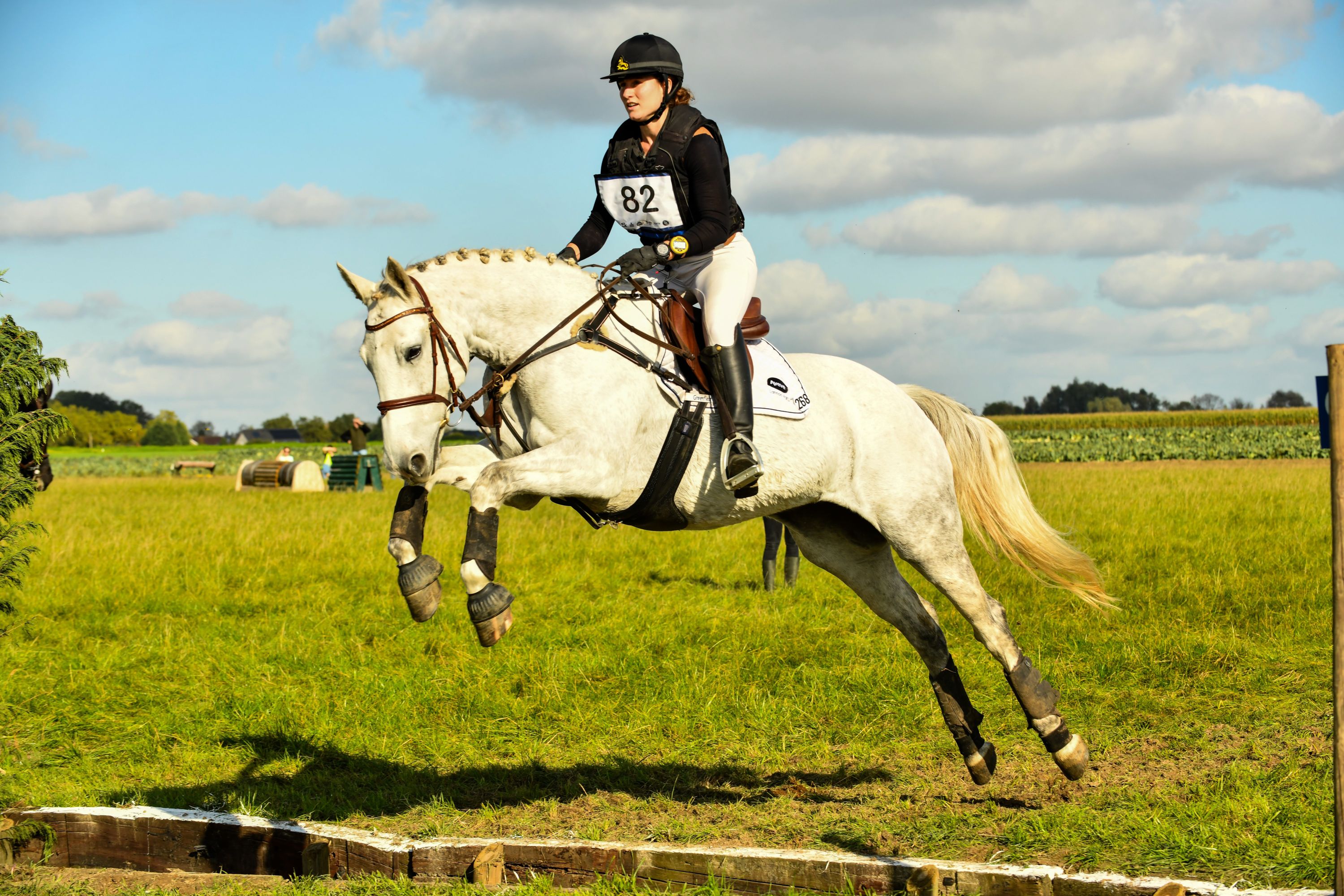 irish springpaard merrie 10 years old schimmel for sale - Photo 5