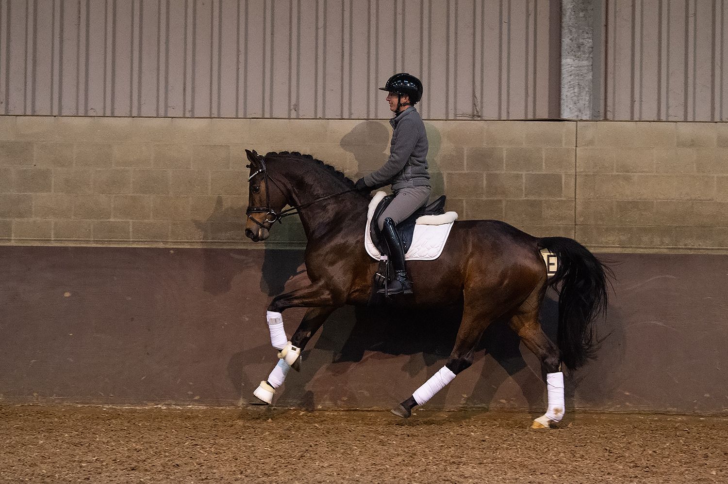 kwpn dressuurpaard merrie 4 år bruin till salu - Foto 2
