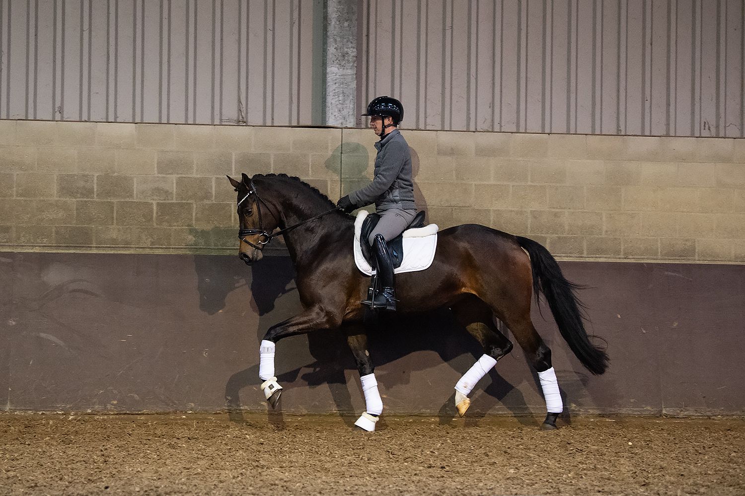 kwpn dressuurpaard merrie 4 år bruin till salu - Foto 6