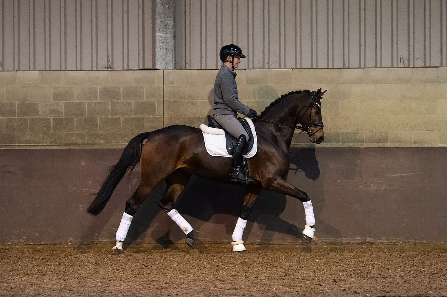 kwpn dressuurpaard merrie 4 år bruin till salu - Foto 3