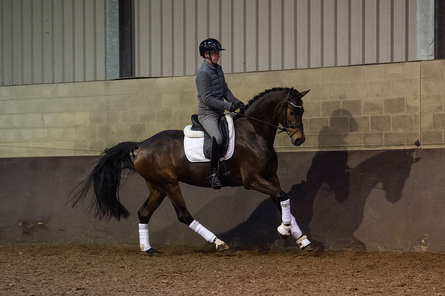 kwpn dressuurpaard merrie 4 år bruin till salu - Foto 4