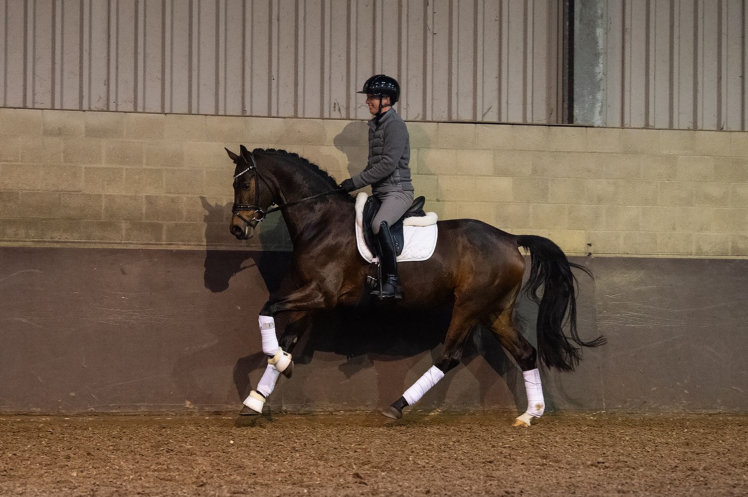 kwpn dressuurpaard merrie 4 år bruin till salu - Foto 5