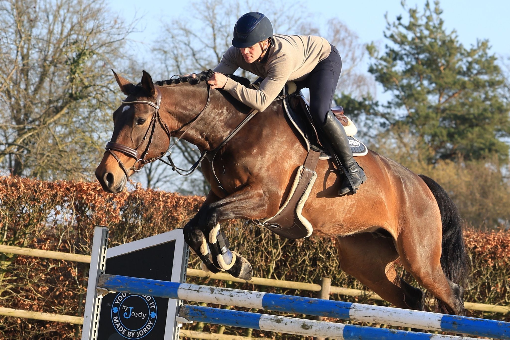 kwpn allrounder merrie 9 år bruin till salu - Foto 2