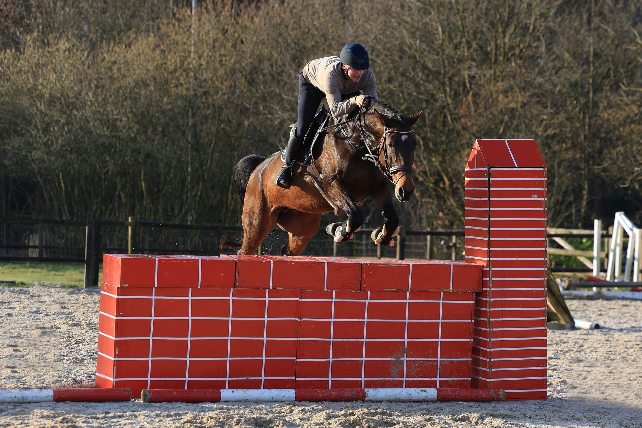 kwpn allrounder merrie 9 år bruin till salu - Foto 5