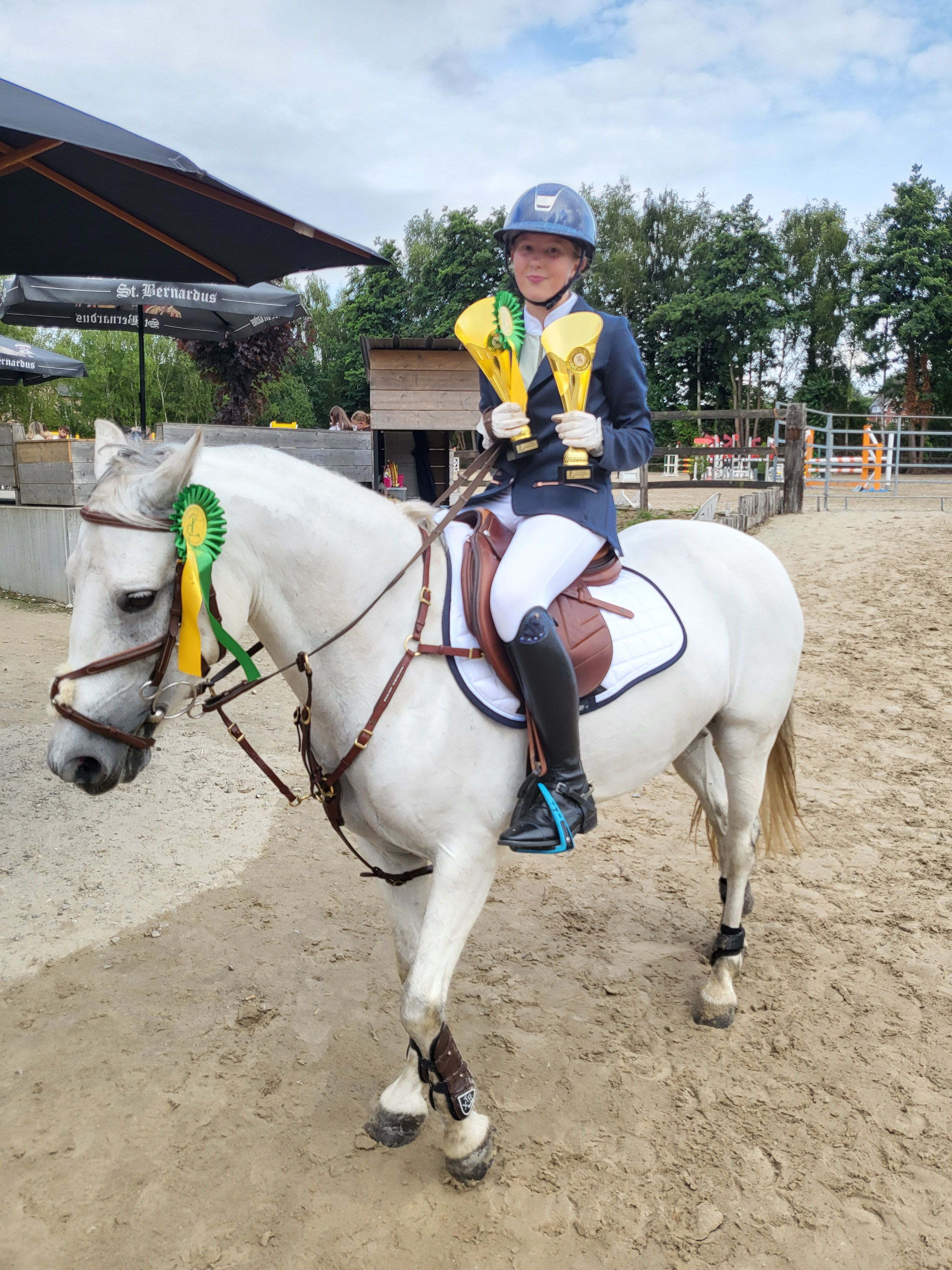 irish springpony merrie 11 years old schimmel for sale - Photo 4