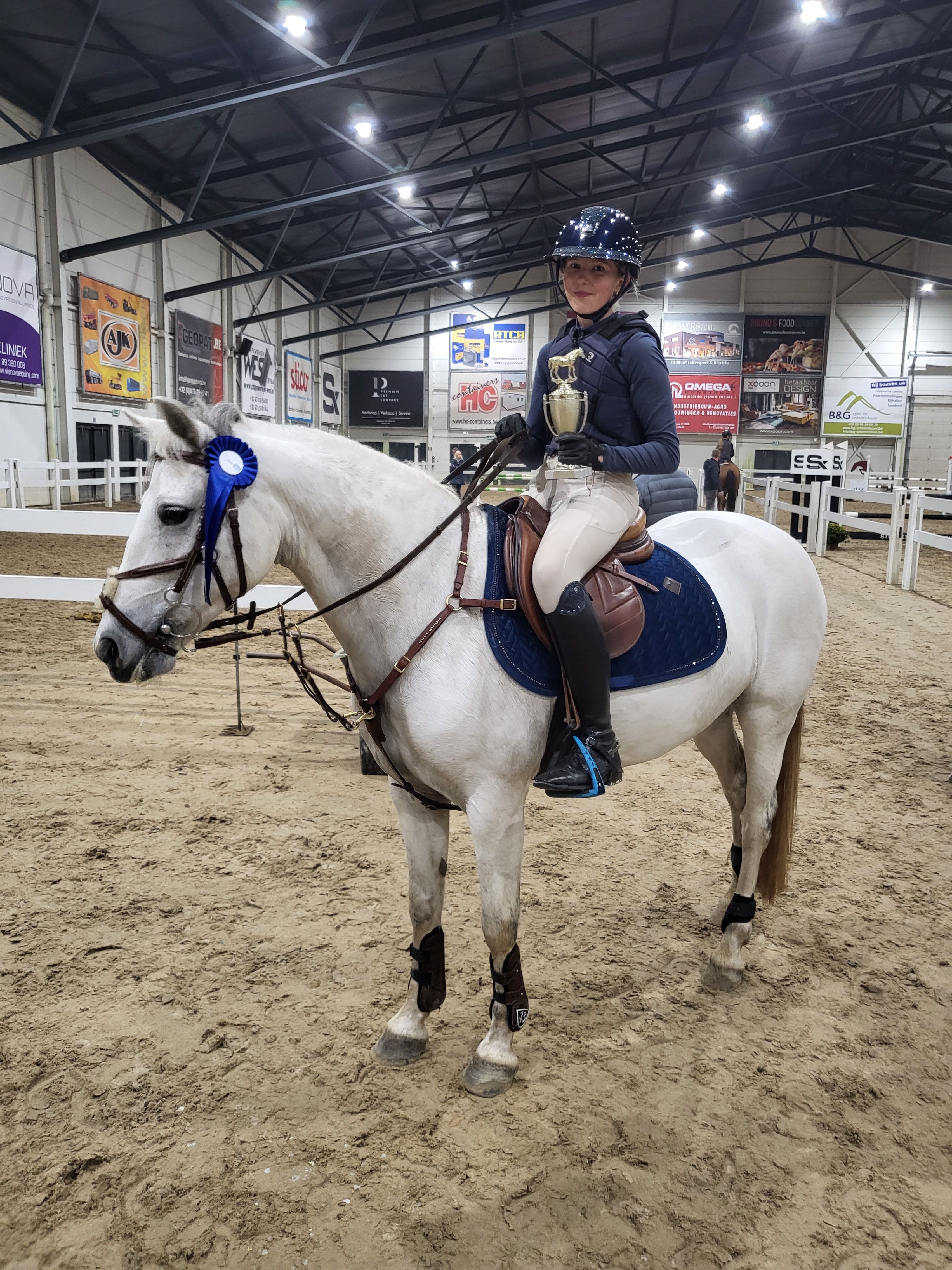 irish springpony merrie 11 years old schimmel for sale - Photo 5