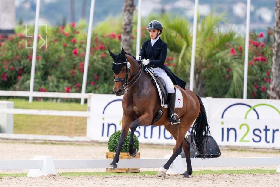 dressuurpaard merrie 12 years old for sale - Main photo