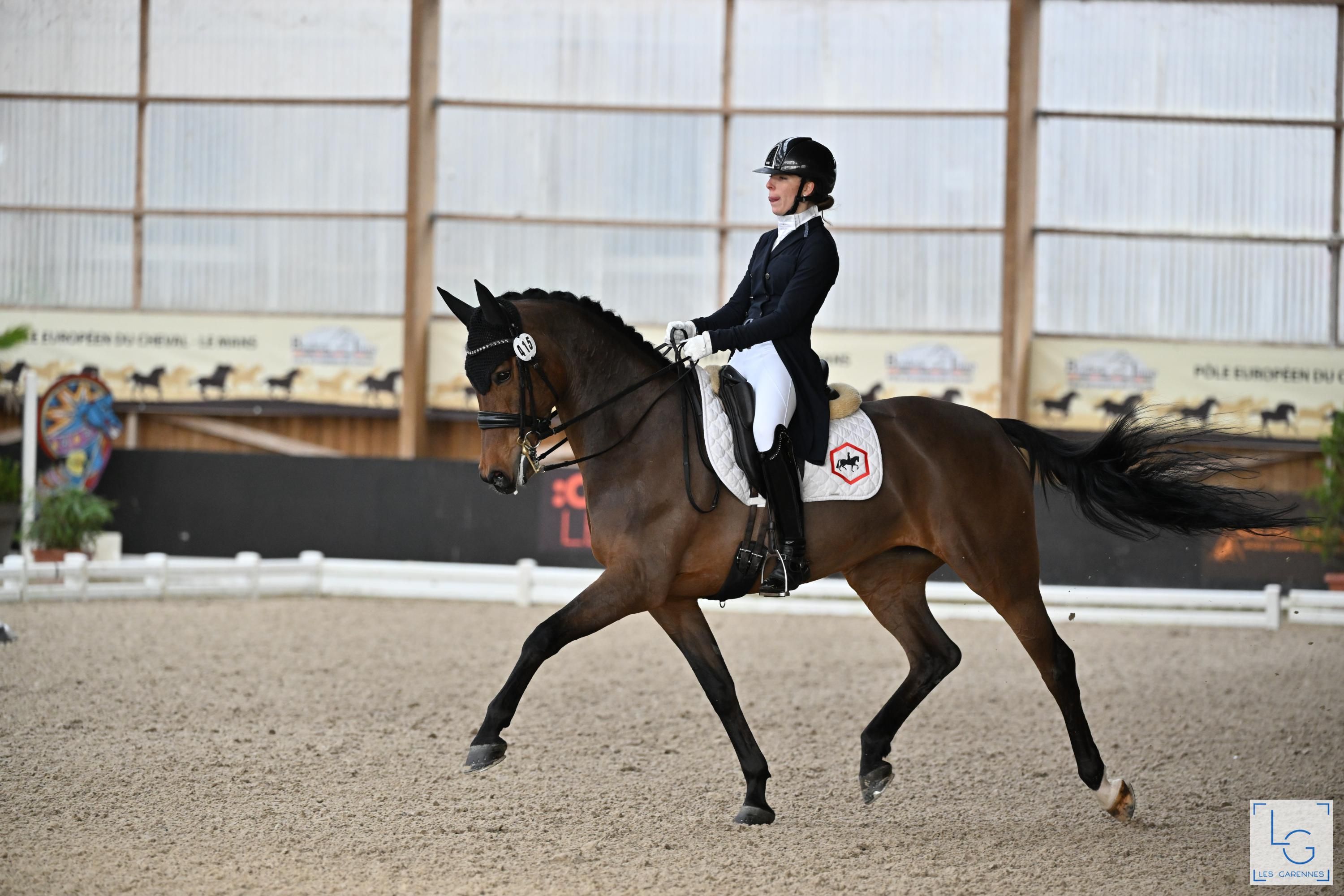 dressuurpaard merrie 12 years old for sale - Photo 4