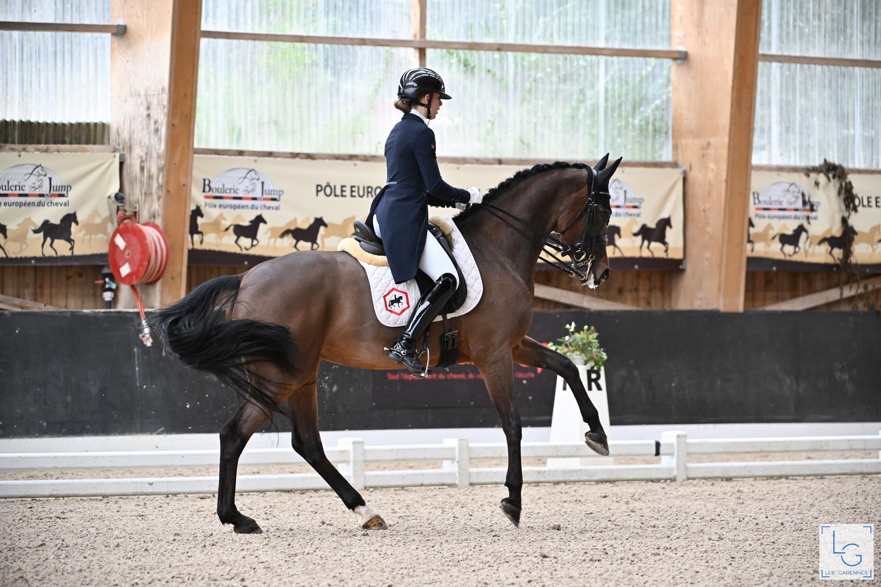 dressuurpaard merrie 12 years old for sale - Photo 3