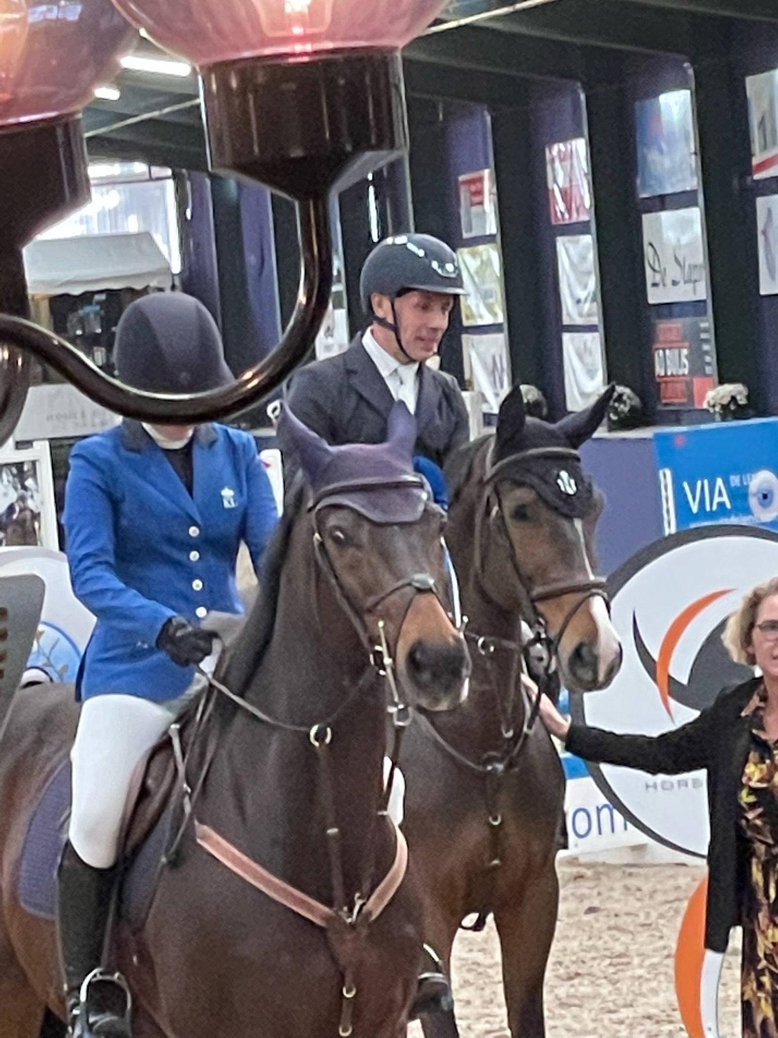 KWPN springpaard Ruin 12 jaar Bruin te koop - Foto 6