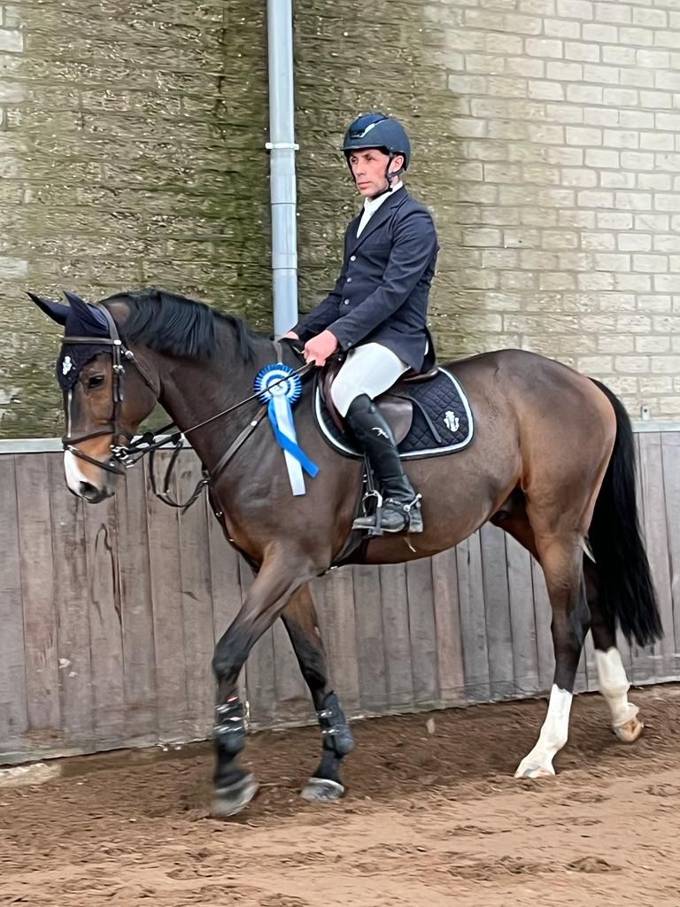 KWPN springpaard Ruin 12 jaar Bruin te koop - Foto 5