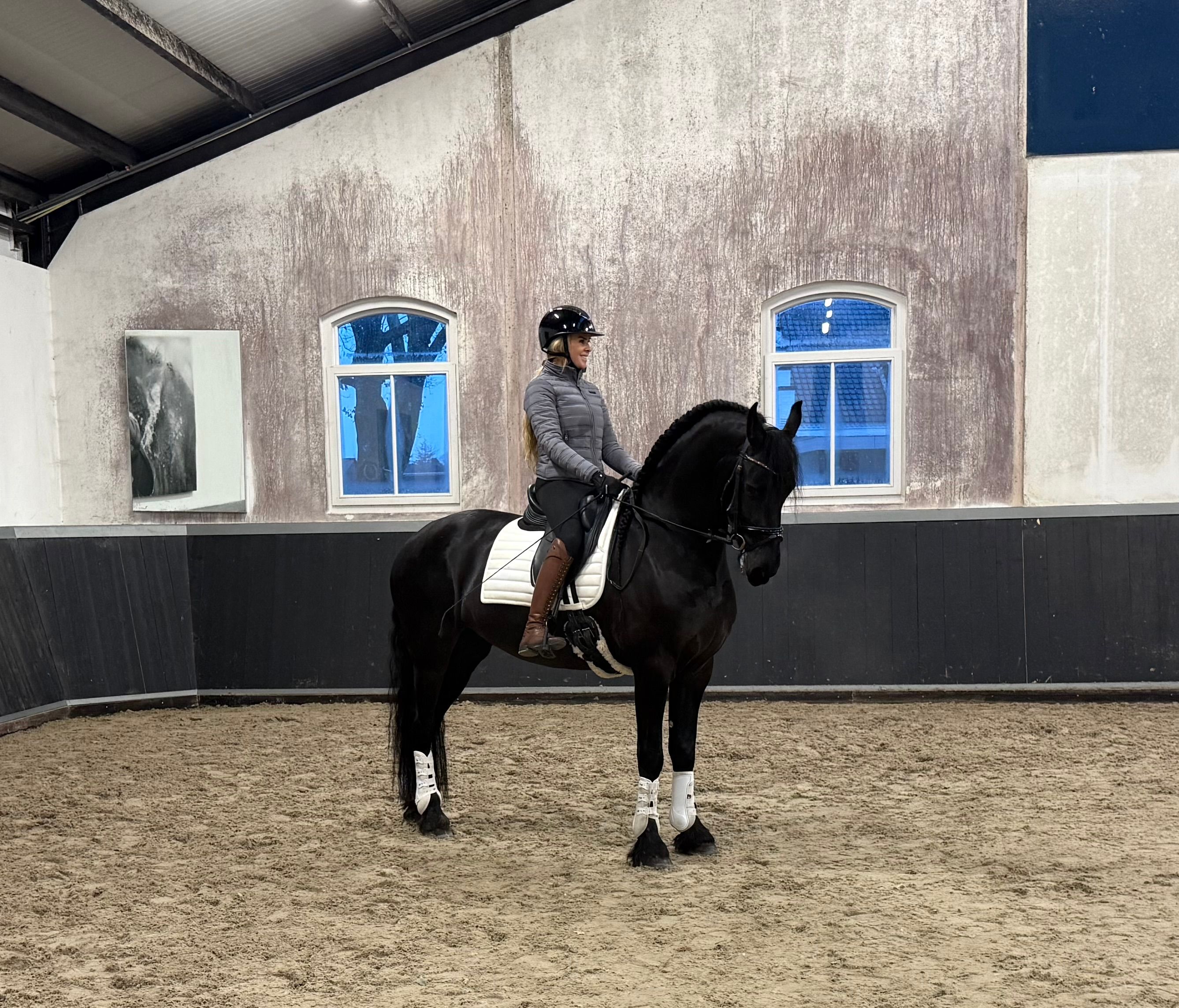 allround-fries merrie 5 years old zwart for sale - Photo 4