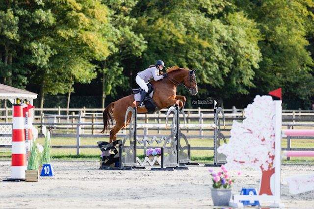 prachtig springpaard 7.5j met enorm vermogen