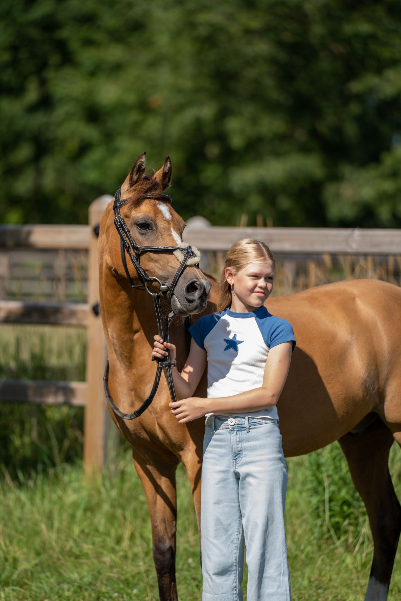 welsh springpony ruin 18 år till salu - Foto 3