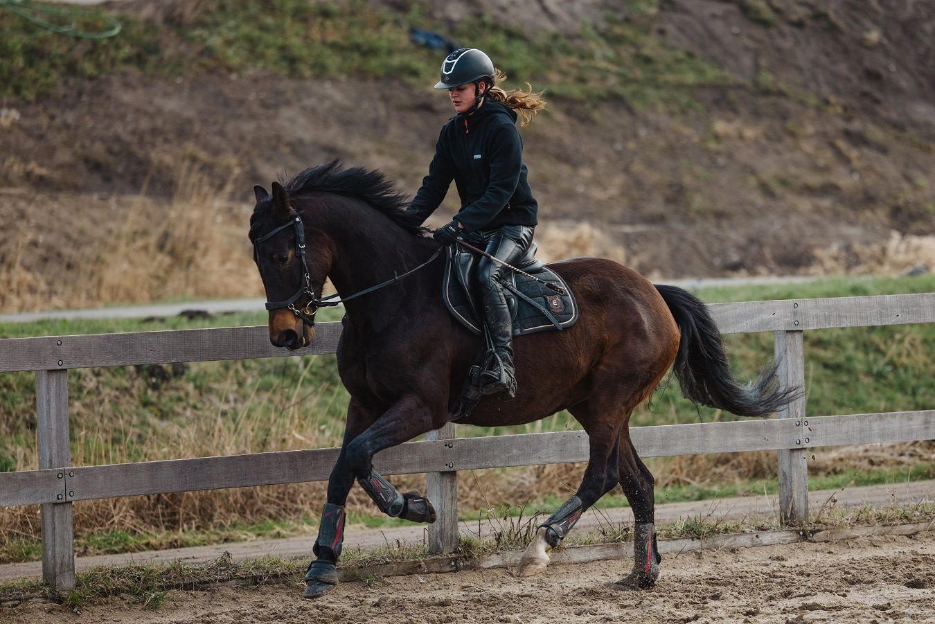 kwpn allrounder Merrie 8 jaar Bruin te koop - Foto 5
