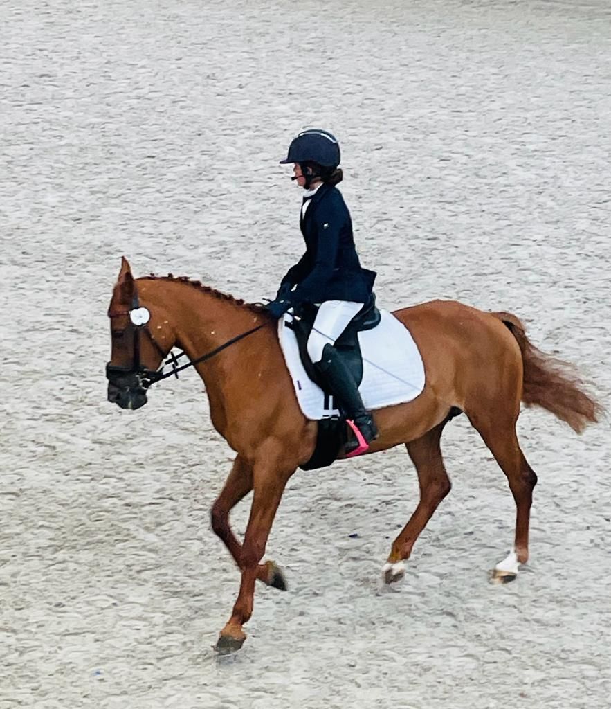 pony merrie 20 jaar vos te koop - Foto 3