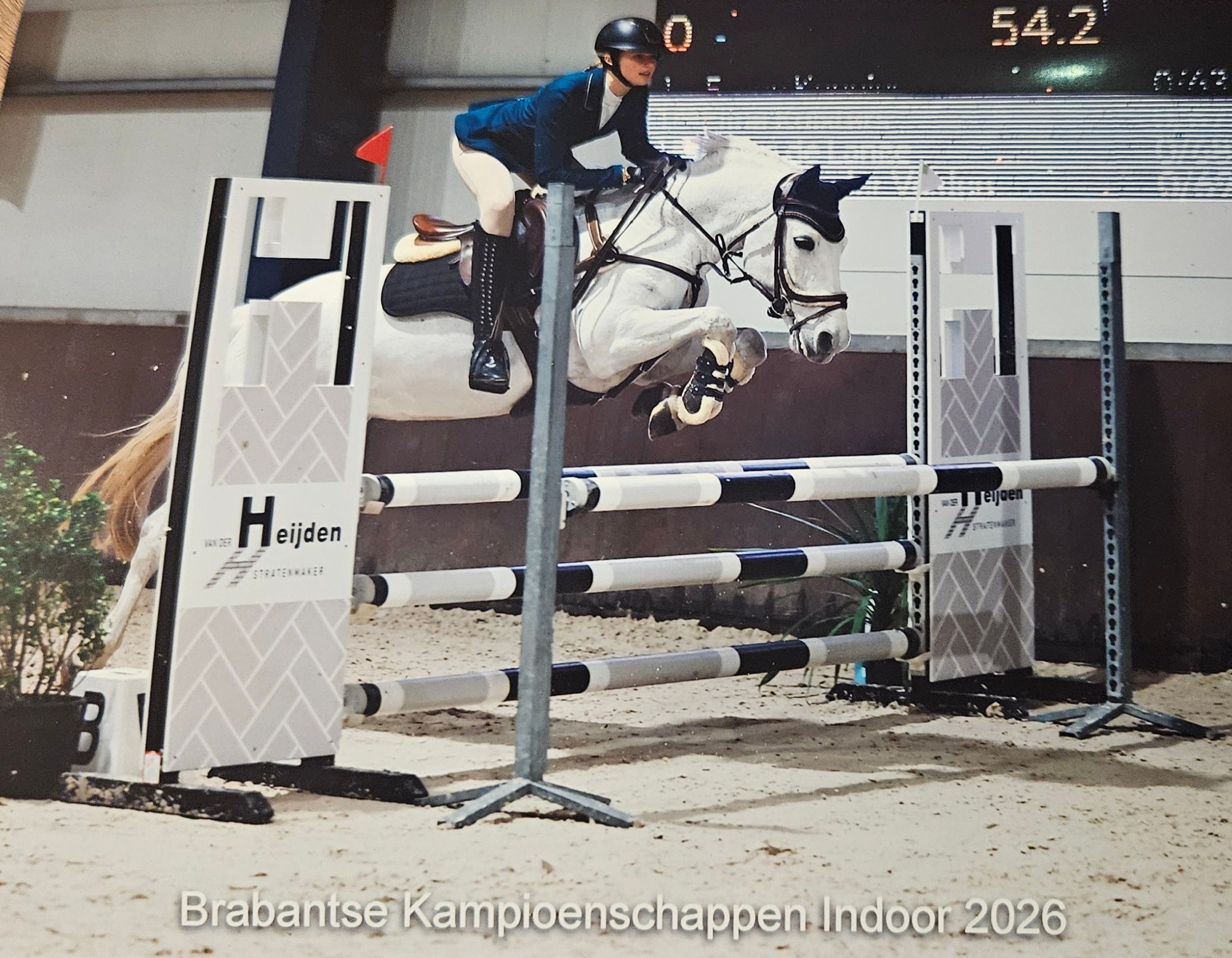 connemara eventingpony Merrie 8 år schimmel till salu - Foto 2