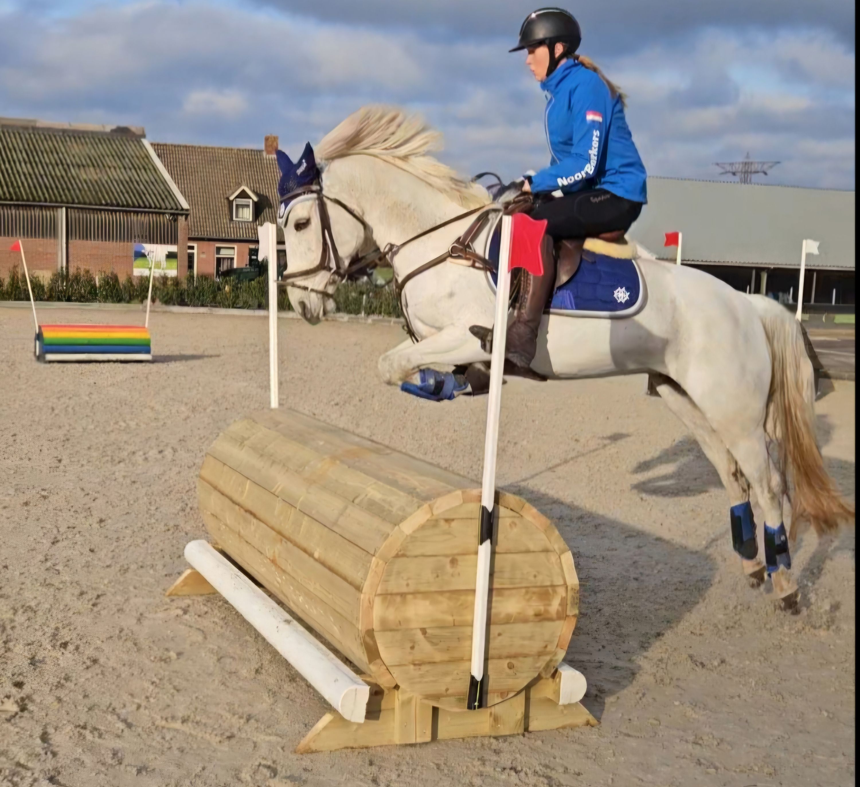 connemara eventingpony Merrie 8 år schimmel till salu - Foto 3