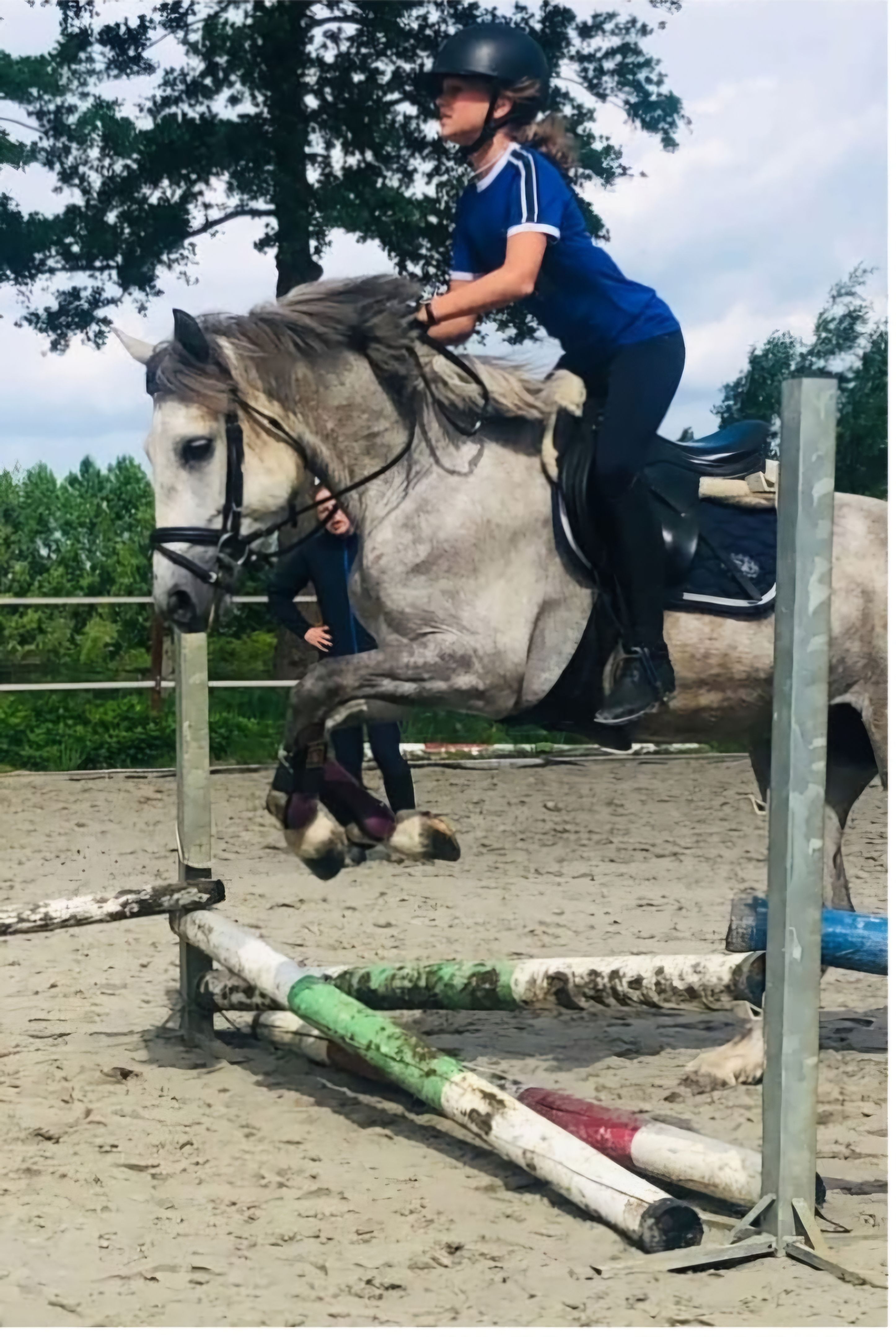 connemara eventingpony Merrie 8 år schimmel till salu - Foto 6