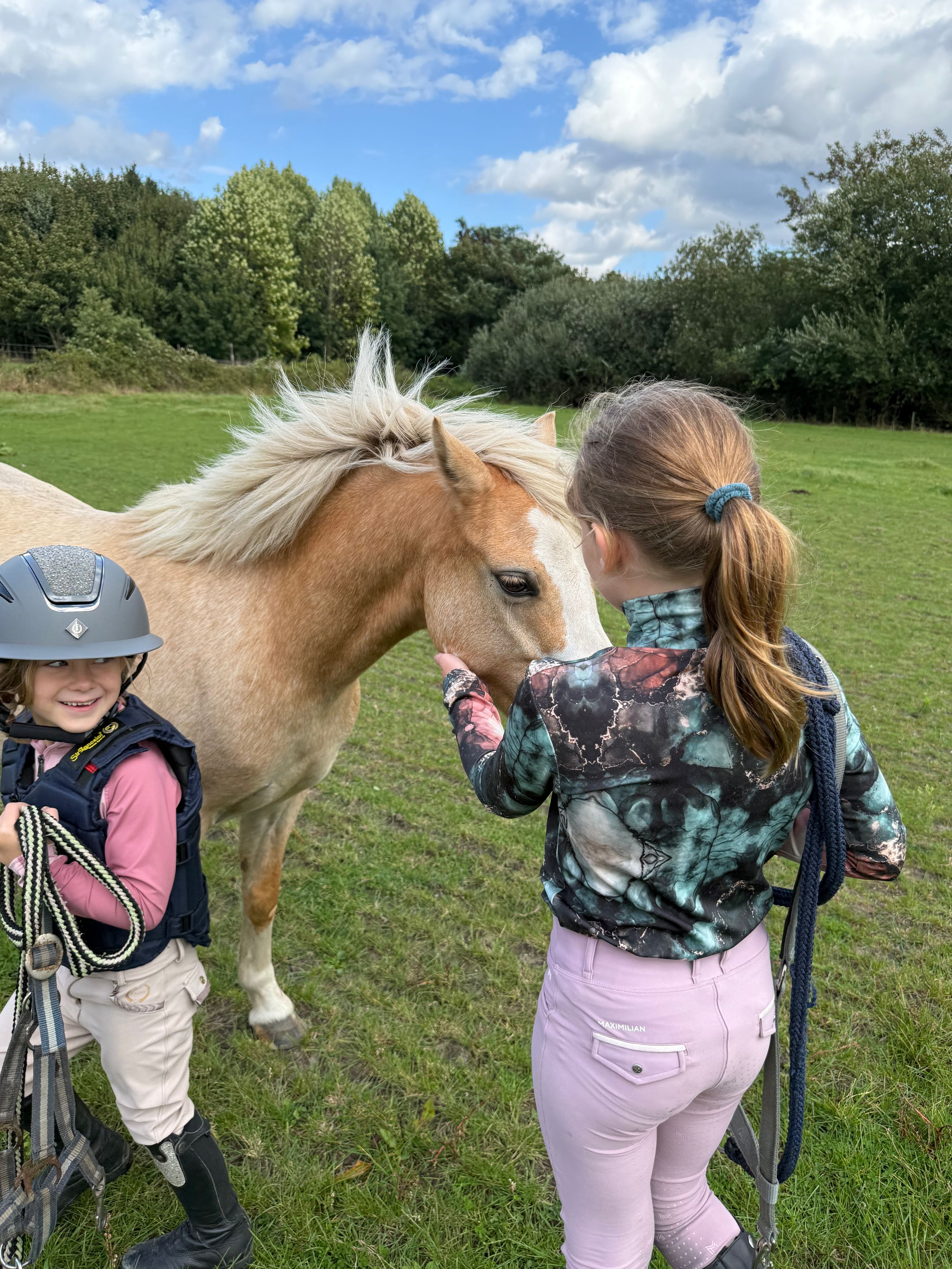 welsh pony merrie 5 años palomino en venta - Foto 5