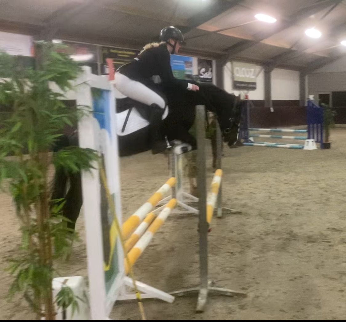 hunting-pony merrie 14 years old zwart for sale - Photo 5