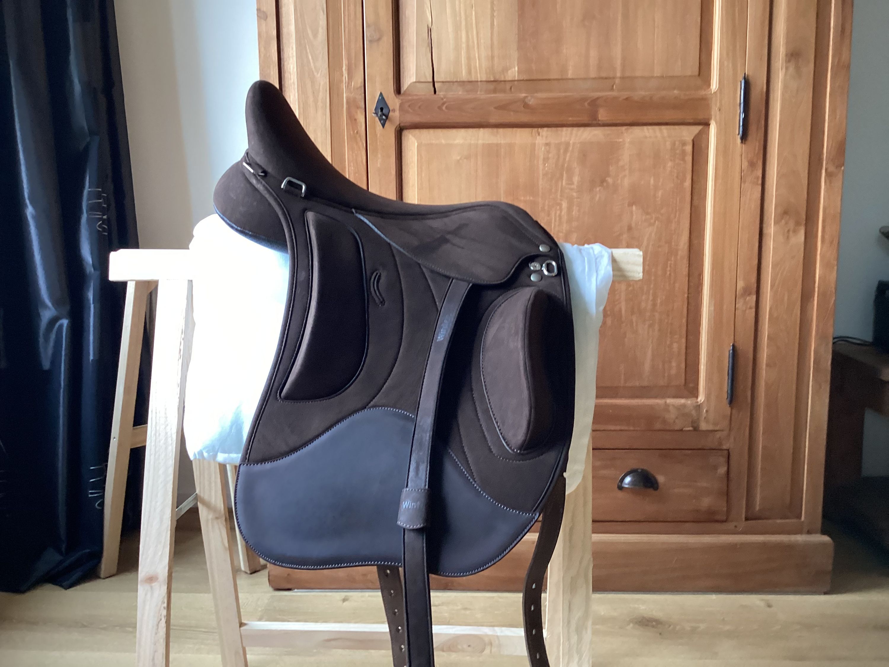 Cheval de plaisance en selle anglaise